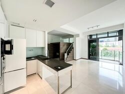 The Scotts Tower (D9), Condominium #574401091